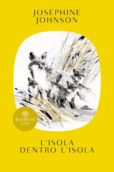 L' isola dentro l'isola
