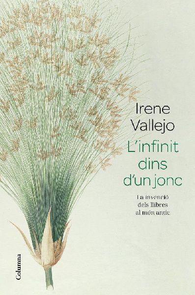 L'infinit dins d'un jonc : La invenció dels llibres...