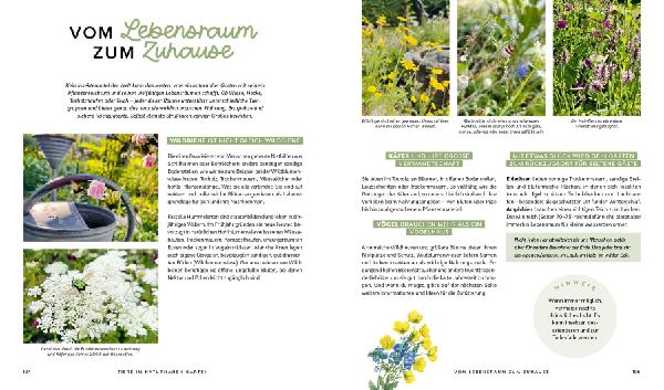 Mein wilder, bunter Garten - Einfach naturnah gärtnern 