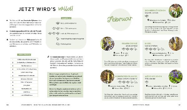 Mein wilder, bunter Garten - Einfach naturnah gärtnern 